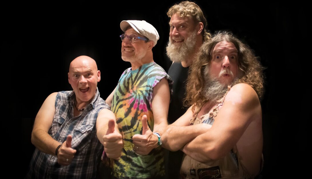 Hayseed Dixie 3