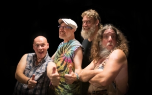 Hayseed Dixie 3